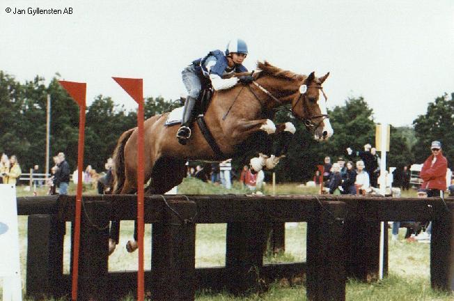 Tirri hoppar oxer